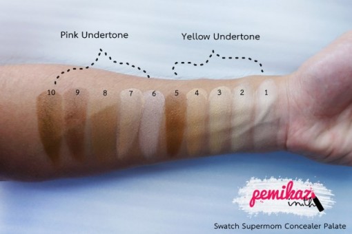 pemikaz supermom concealer palate - 3