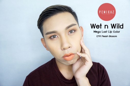 Wet-n-Wild--Mega-Last-Lip-Color-E791