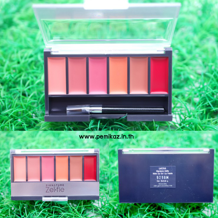 ustar-zignature-zelfie-make-up-go-lip-palette1