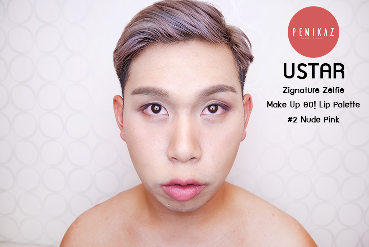 ustar-zignature-zelfie-make-up-go-lip-palette3
