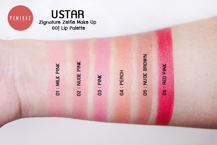 ustar-zignature-zelfie-make-up-go-lip-palette9